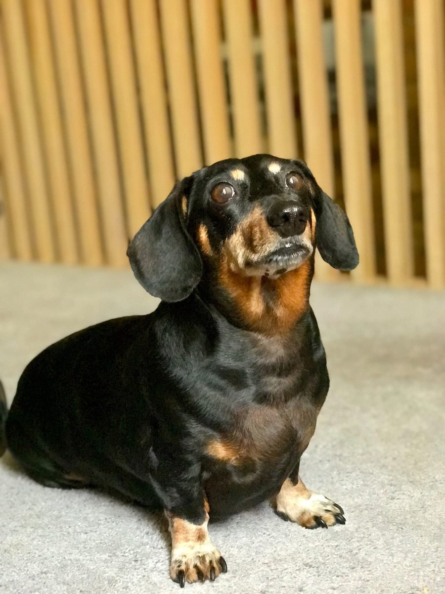 Presly — the inspiration behind Presly Co.